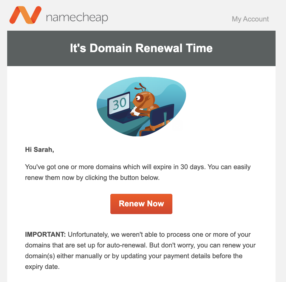 Namecheap - Membership renewal email example